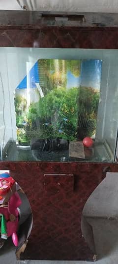 aquariums for sale