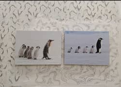 penguin wall hanging with battery