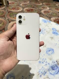 iPhone 12 non pta urgent sale