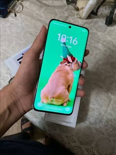 oppo reno 12 5g