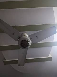 ceiling fan