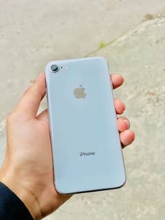 iphone 8 pta approved 64gb 0