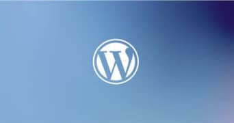 WordPress develper 0