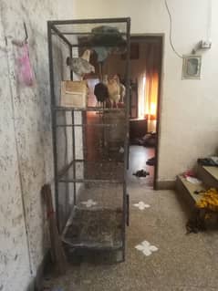 hens Cage iron pinjra 3 portion used Condition