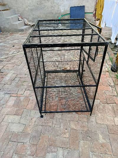 parrot cage brand new