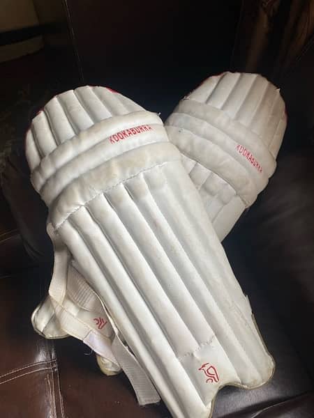 hard ball cricket kit without bat 6