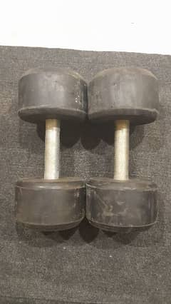 Rubber coated Dumbell/ Dumbell / Dumbell for home/ Chrome dumbell