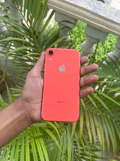 iphone XR 64gb03193220609