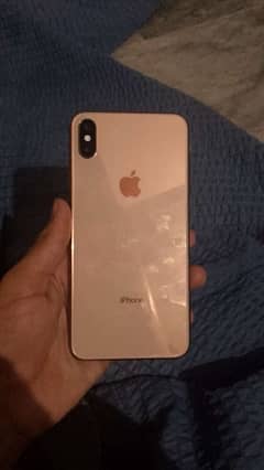 iPhone X max