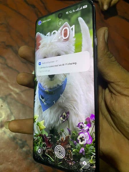 oppo Reno 12 5g AI 12+12/512 urgent sale 3