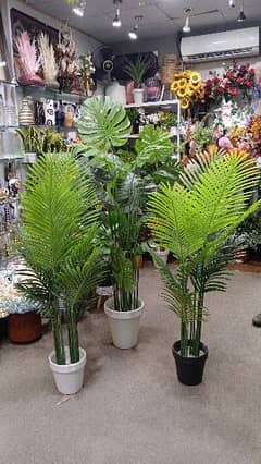 artificial plants and home decorations