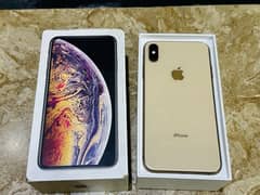 xs max 256 dual physical