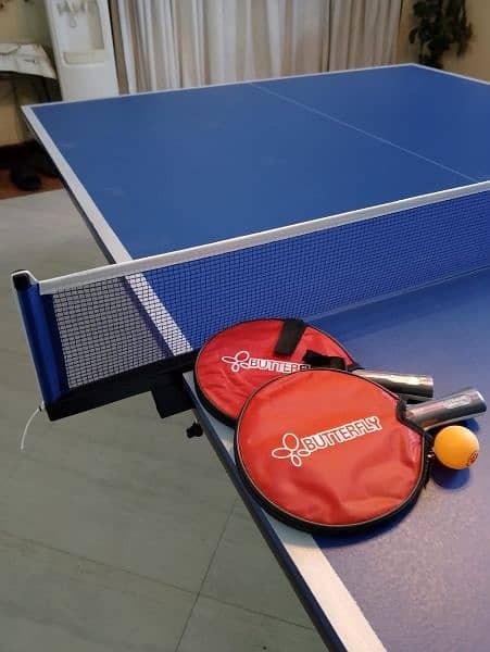 Table tennis table 2