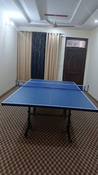 Table tennis table 15