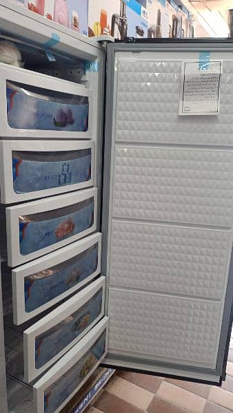 Chest Deep freezer & vertical upright inverter 12