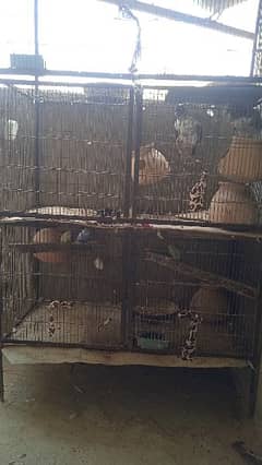 Good Condition Cage for sale