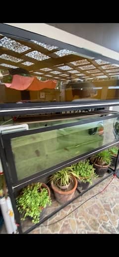 2 Aquarium 6 ft with stand