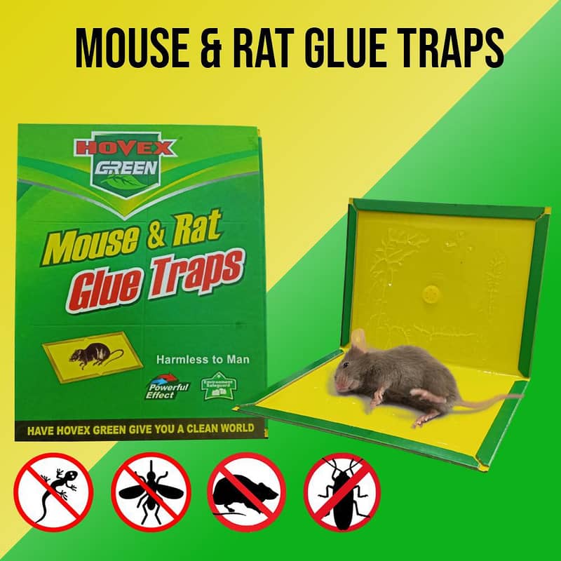 Pack of 5 Rat Catcher Glue Traps , catch rats , roaches , lizards 0