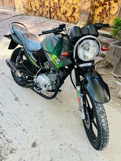 YAMAHA YBR-G Brand new