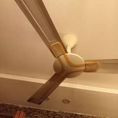 G F C copper Fan