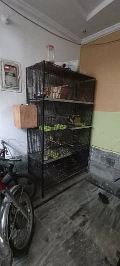 birds cage 6x2