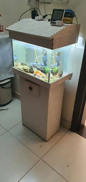 Fish Aquarium 2