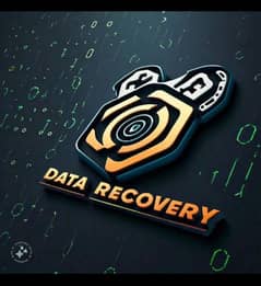 Data Recovery (+)