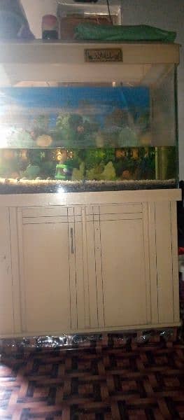 fish and fish aquarium  complete set 2