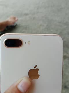 8plus