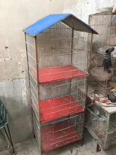 birds cage on  number 03104985698