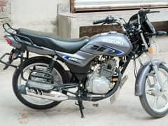 Suzuki 110