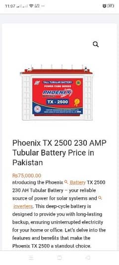 Phoenix Tall Tabular TX2500 Battery