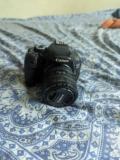 Canon 600d 0