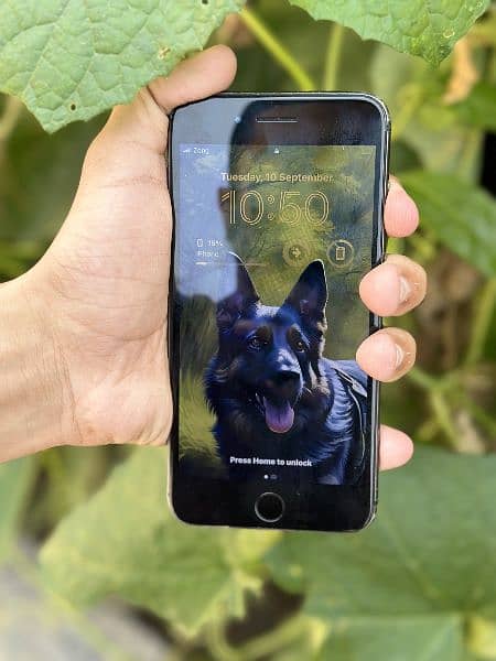 Iphone 8 plus PTA Approved Camera king 64gb All ok urgent sale others 2