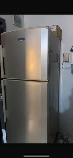 haier fridge king size