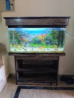 Fish Aquarium with wooden Rack