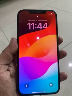 pta approved iphone 12 pro max 256gb