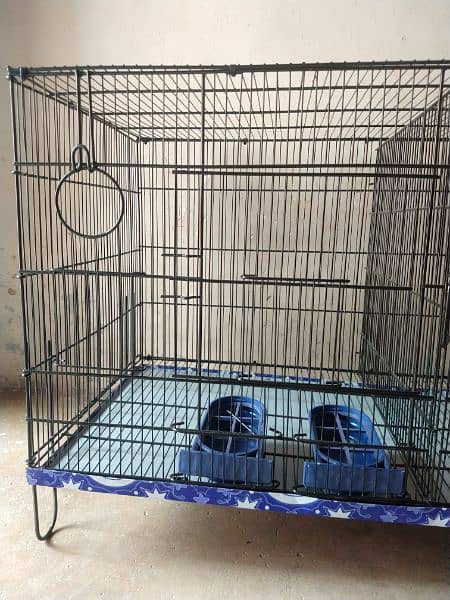 Parrot Cage 1.5x3 full Cage UMAR CAGE Brand new 1