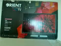 Orient LED 32" HD- Mob 03227660199