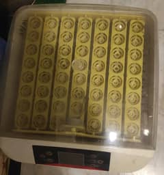 HHD 56 Egg Incubator for Sale – Excellent Condition!