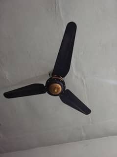 9000 per fan