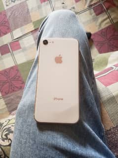 iphone 8 pta approve 64gb