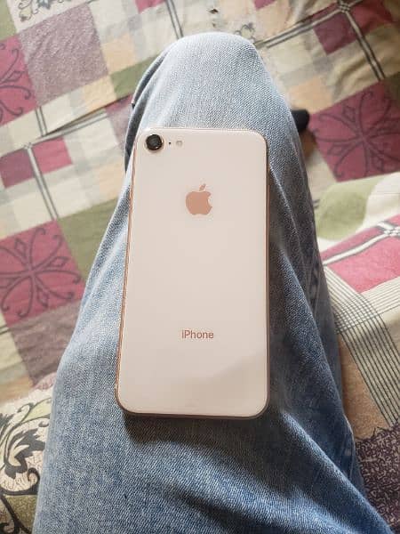 iphone 8 pta approve 64gb rose gold 0