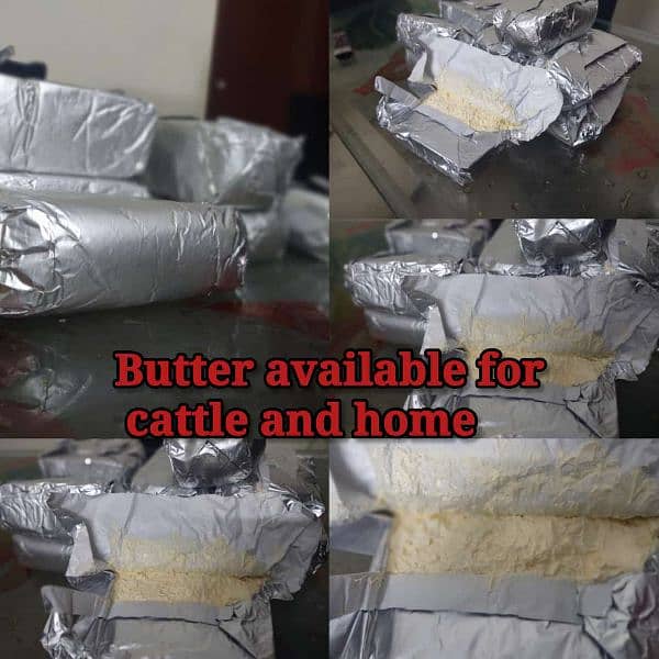 BUTTER FOR COW AND HOME 1