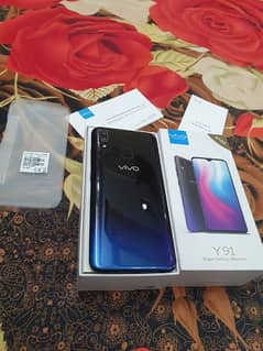 Vivo