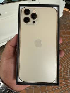 iPhone 12 Pro Max PTA approved