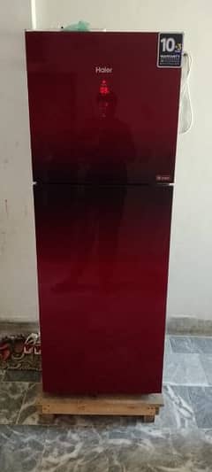 Fridge Haier full size full warranty everything fresh 8 year warranty