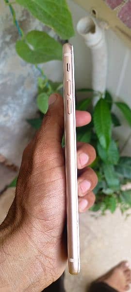 I phone 8plus non PTA 64gb 5