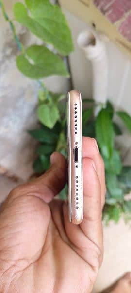 I phone 8plus non PTA 64gb 6