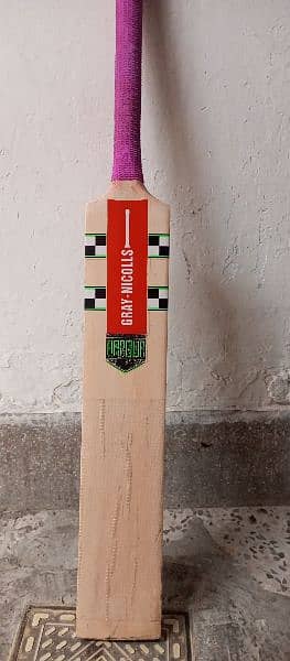 Gray Nicolls bat 2